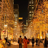 Невероятные иллюминации и новогодние огни в Токио