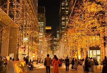 Невероятные иллюминации и новогодние огни в Токио