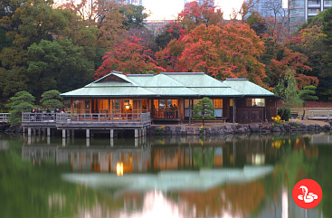 Оазис в многолюдном Токио