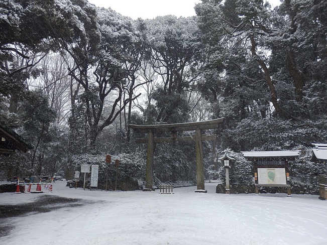 Токио засыпало ноябрьским снегом впервые за 54 года