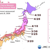 Официальный прогноз цветения сакуры в Японии на 2026 год - обновление от 8 января