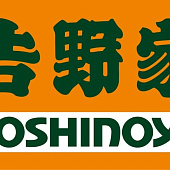 Почему «Ёсиноя» так называется? История с красивым смыслом