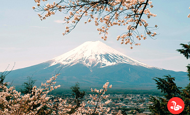 Восхождение на г.Фудзи