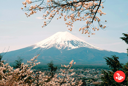 Восхождение на г.Фудзи
