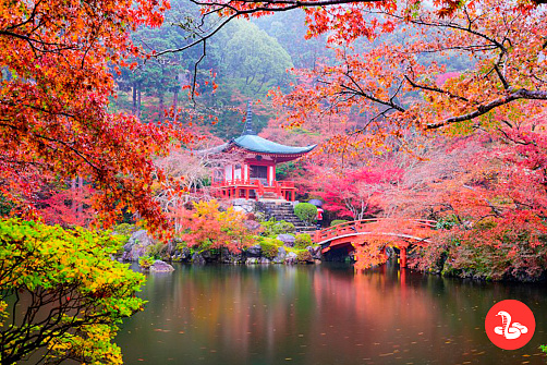 Осень. Клены. Япония