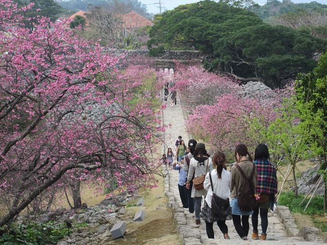 Жители Окинавы встречают весну