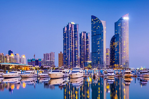 Весна в Японии. Токио и фестиваль Сакуры.