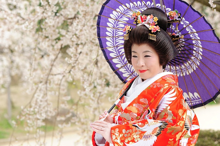 Нишевый бизнес в Японии процветает на фоне туристического бума