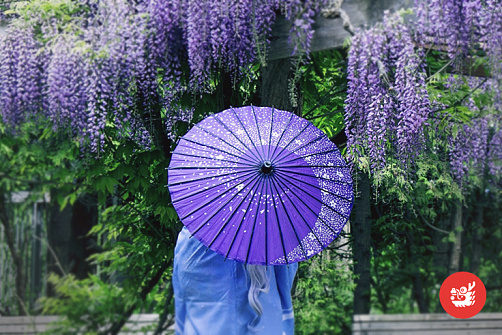 Майские праздники в Японии