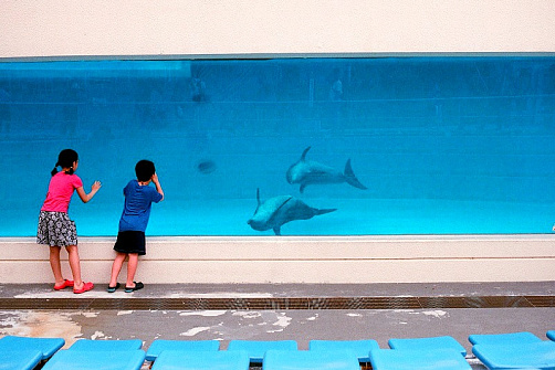 Групповой тур на Окинаву