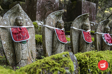 Коя: Постигни дзэн