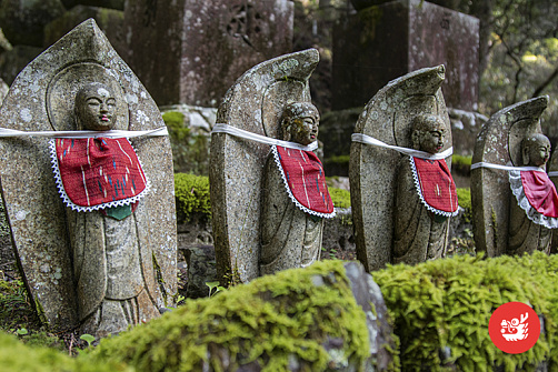 Коя: Постигни дзэн