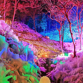 Сказочный лес из сосулек под Токио загорается огнями по ночам