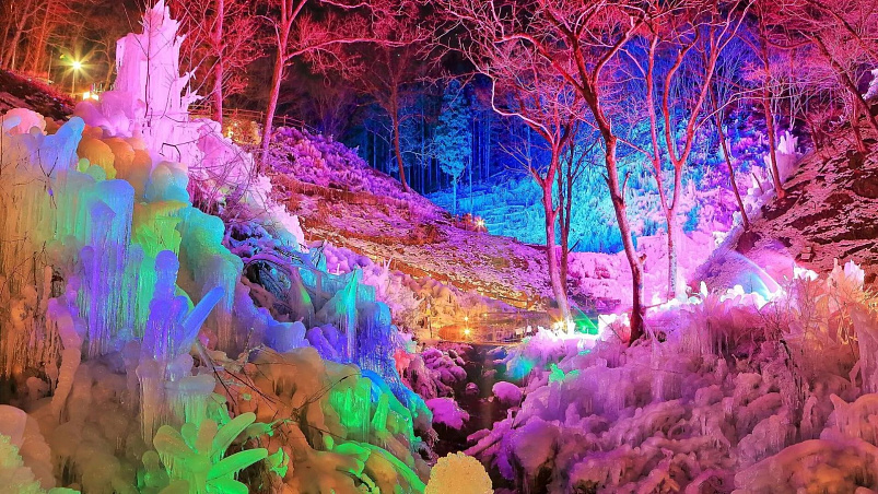 Сказочный лес из сосулек под Токио загорается огнями по ночам