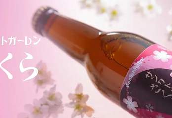 Японское пиво с сакурой выходит до начала сезона цветения