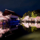 7 лучших арт-культурных событий, которые стоит посетить в Киото в 2026 году