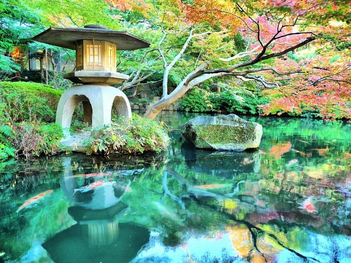 Традиционные сады Токио