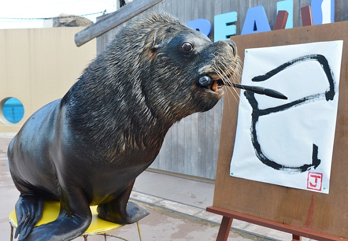 Морской лев в Йокогама рисует иероглиф - символ года по китайскому календарю
