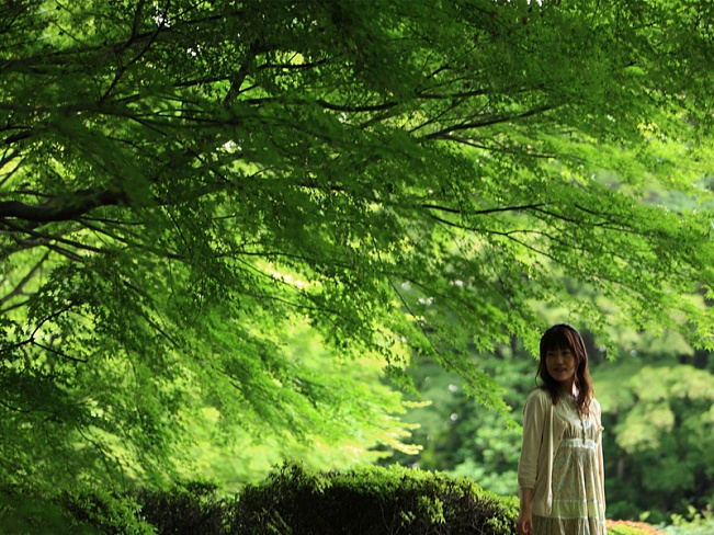 Ученые подтвердили пользу “лесных ванн” так популярных в Японии