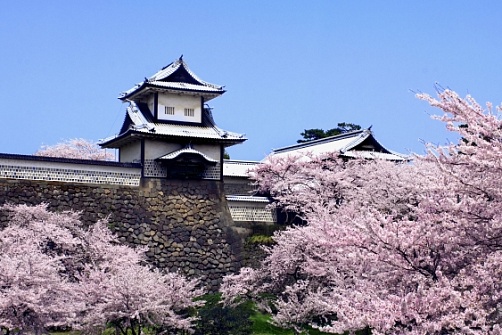 Пакетный тур Мировое наследие Японии
