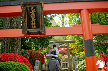 Старинные районы Токио