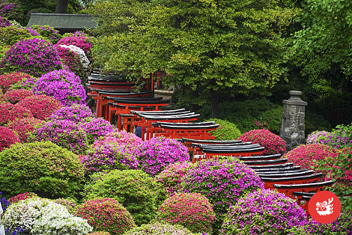 Майские праздники в Японии