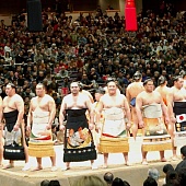 Чем живут борцы сумо и почему они такие большие