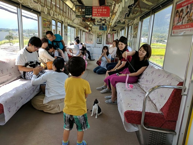В Японии запустили первый в мире “котопоезд”