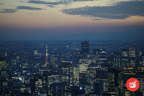 Токио без границ, 15 дней