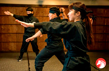 Мастер-класс по искусству ниндзя