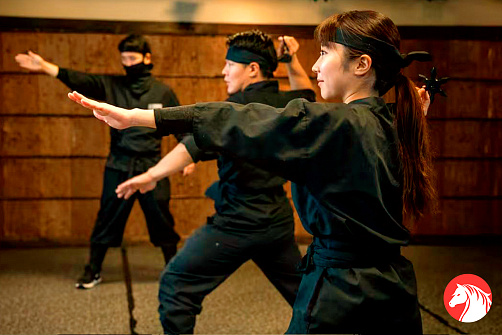 Мастер-класс по искусству ниндзя