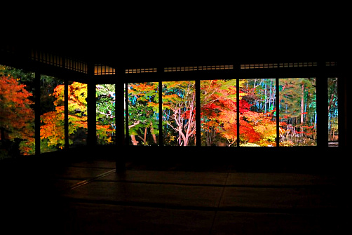 Осень. Клены. Япония