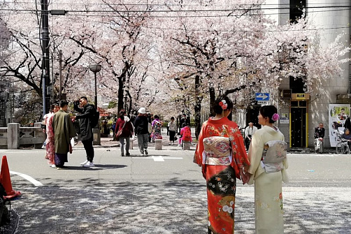 Сакура и скрытая Япония