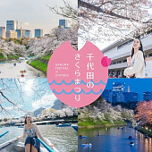 Фестиваль сакуры в Тиёде 2026: вечерняя иллюминация, лодки и музыка