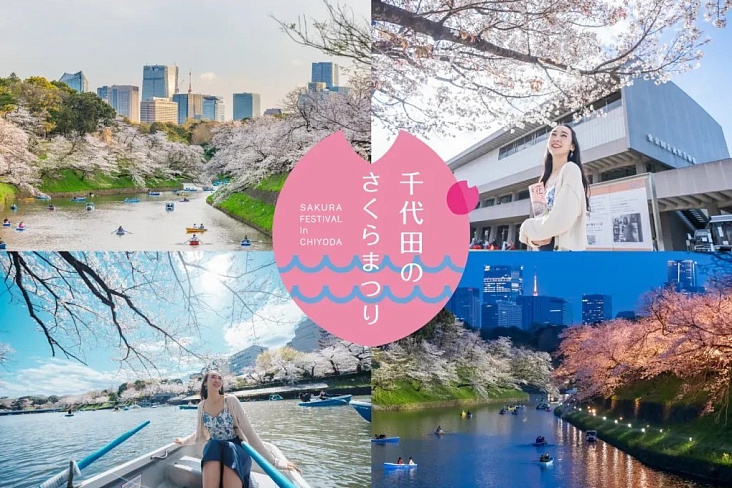 Фестиваль сакуры в Тиёде 2026: вечерняя иллюминация, лодки и музыка