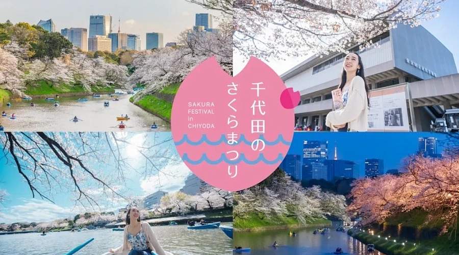 Фестиваль сакуры в Тиёде 2026: вечерняя иллюминация, лодки и музыка