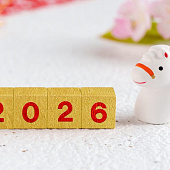 Новый год в Японии: ритуалы, традиции и праздничные обычаи