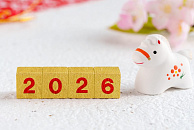 Новый год в Японии: ритуалы, традиции и праздничные обычаи