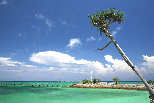 Групповой тур на Окинаву