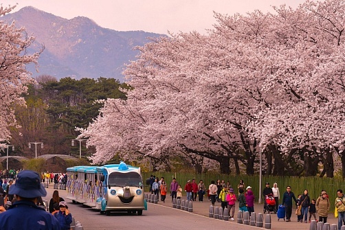 Корея: Майские праздники