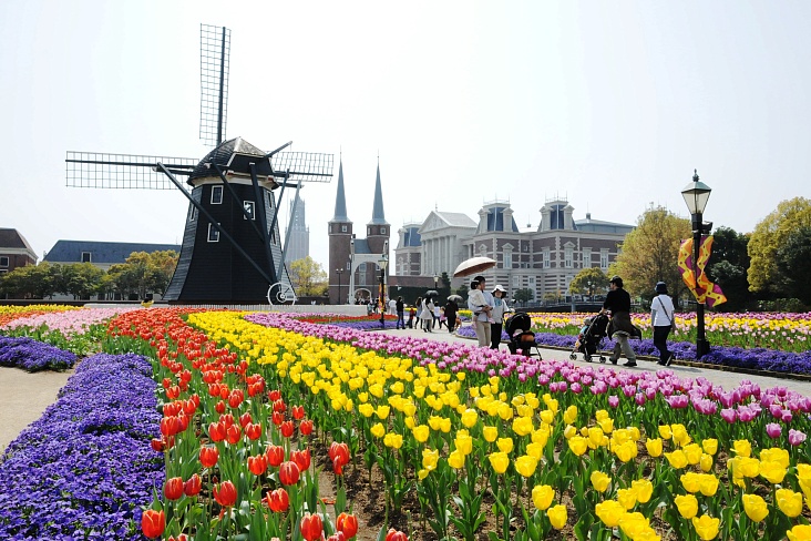 Фестиваль тюльпанов в тематическом парке Huis Ten Bosch и специальная кампания от Peach Aviation