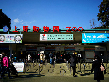 В Японию с детьми! достопримечательности