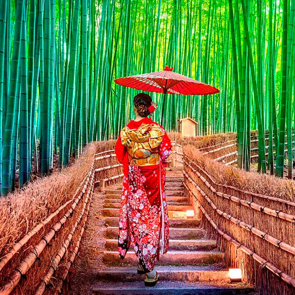 Тур на заказ по Японии — индивидуальный маршрут и организация поездки