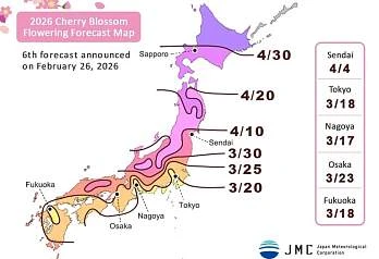 Прогноз цветения сакуры в Японии на 2026 год