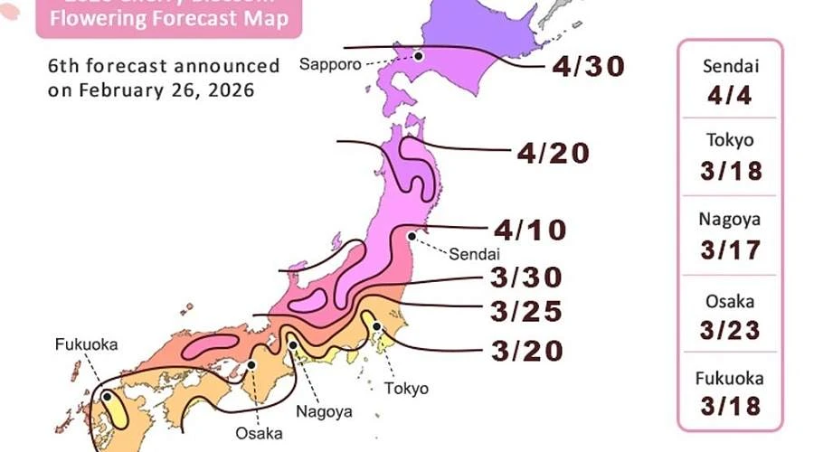Прогноз цветения сакуры в Японии на 2026 год