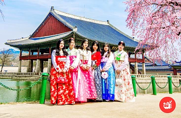 2 страны, 2 культуры: Япония и Корея