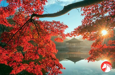 Изумительная Япония