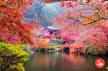 Осень. Клены. Япония