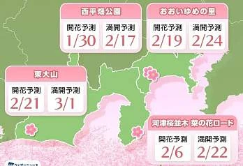 В Японии начался сезон ранней сакуры