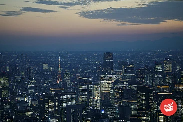 Токио без границ, 15 дней